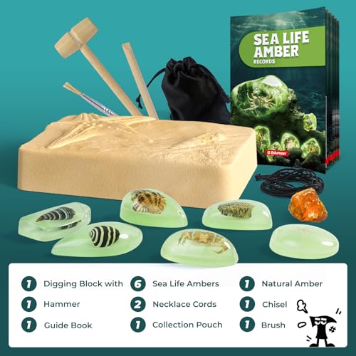 EDUMAN Amber Dig Kit6 Artificial Sea Life Resin Specimens Glow in The Dark Oceanlife Fossil Excavation Set STEM Inspired Educational Toy for Kids Ages 612 for Boys Girls - Image 5