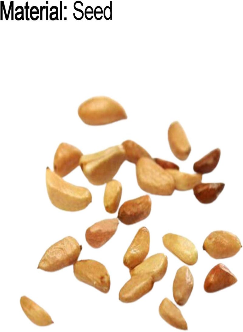 GGOOT 1 Bag Zantedeschia Aethiopica Seeds, Easy to Germinate Small Colorful Garden Decor Flower Seeds for Yard Orange - Image 3