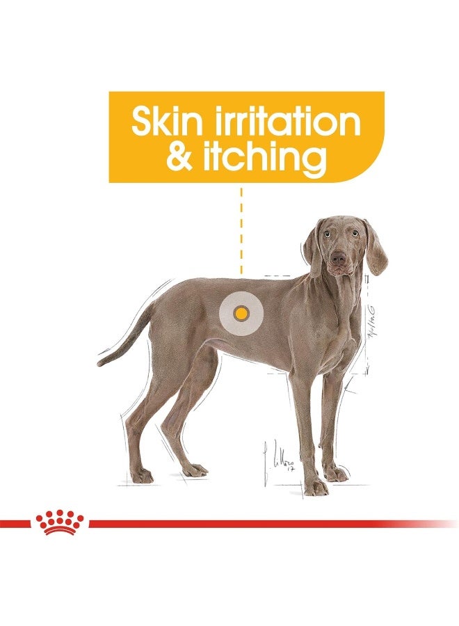 Royal Canin Maxi Dermacomfort Dog Food 12 KG - Image 4