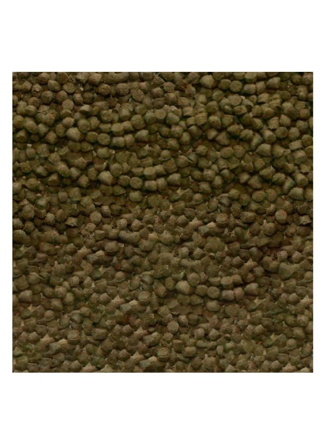 Sera Shrimps Granules 100ml[Volume - 100ml] - Image 3