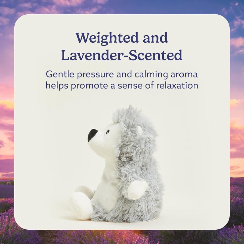 Warmies Intelex Microwavable French Lavender Scented Plush Junior Hedgehog - Image 3