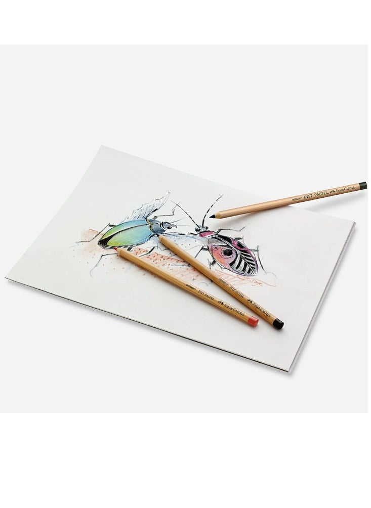 FABER-CASTELL - 12-Piece Pitt Pastel Pencils Set Multicolor - Image 1