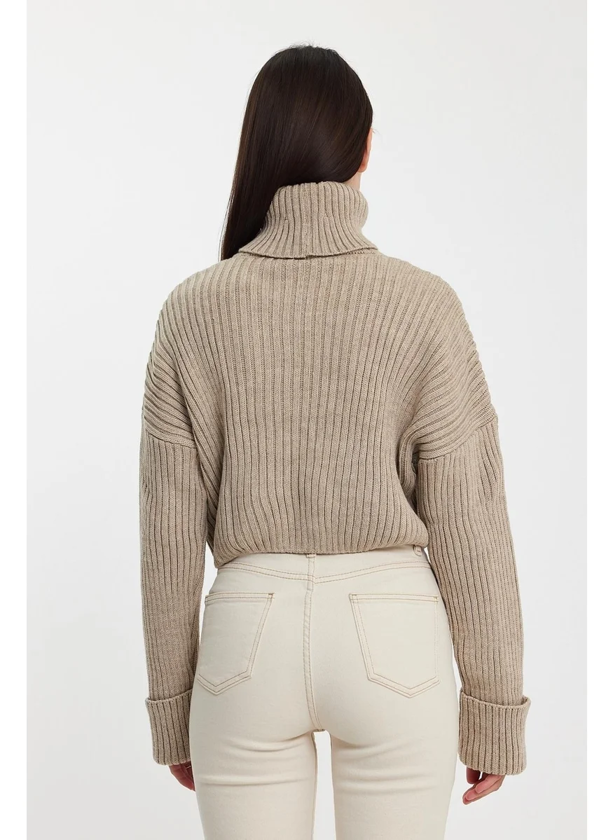 الكسندرجاردي Alexandergardı Sleeves Fold Turtleneck SWEATER (A92242-S)
