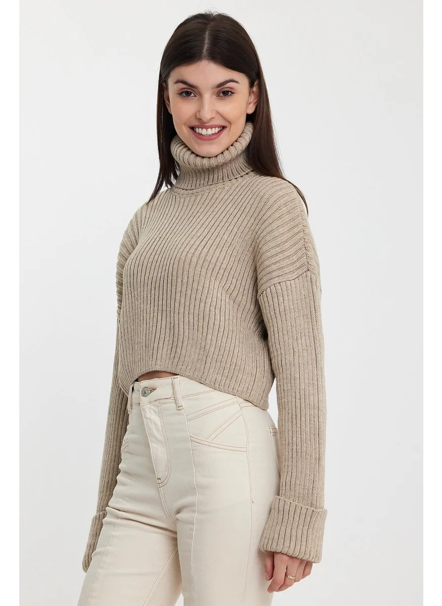 Alexandergardi Alexandergardı Sleeves Fold Turtleneck SWEATER (A92242-S)