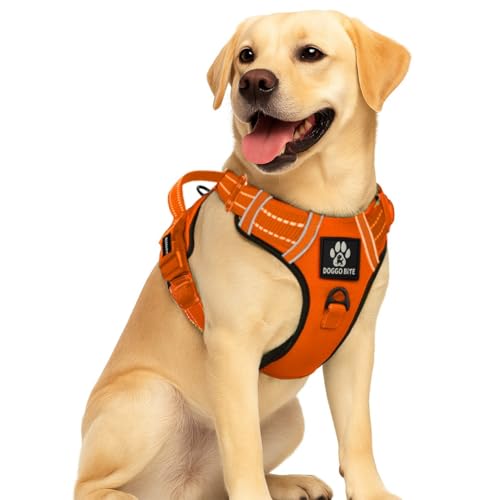 Doggo Bite Premium Reflective Dog Vest Harness| Soft Breathable| Padded Handle| Adjustable Straps & Luxury Buckle | Soft Padded Mesh | No Pull | No-Choke | Chest 28-35inch | All Medium Breed 14-22Kg - Image 1