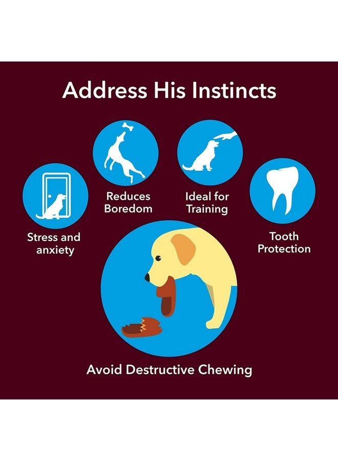 Dog Nylon Hard Chew 9Inch Bone Toys For Adult Dogs, Dog Toys, Aggressive Chewers Teething Toys, Suitable For Large And Medium Dog (1 Piece) (9Inch Bone) - Image 5