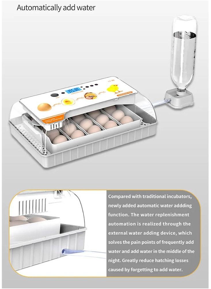 MARGOUN - 20 Egg Incubator with Automatic Egg Turning and Humidity Control - Image 1