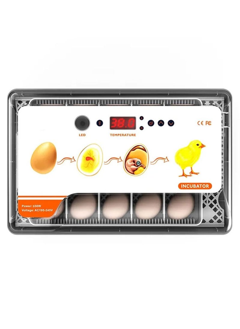 MARGOUN - 20 Egg Incubator with Automatic Egg Turning and Humidity Control - Image 1