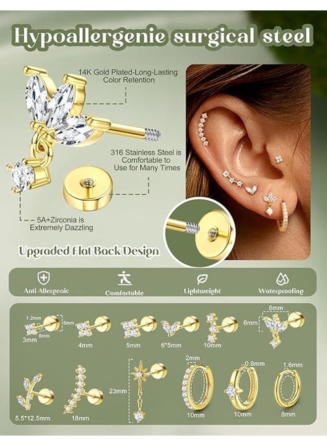 Arabest 12 Pieces Helix Piercings Surgical Steel Earrings Gold Piercing Stud Earrings Set Tragus Piercing Silver Hypoallergenic Rook Daith Conch Cartilage Ear Piercing Helix Piercings Ear Jewellery - Image 2