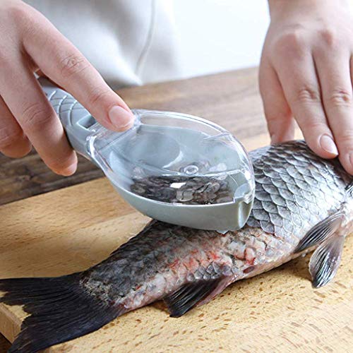 WRYER Fish Scale Scraper Fish Scaler Sawtooth Scale Descaler Scraper Cleaner Fish Scales Brush Shaver Remover Scale Knife Peeler Skin Peeler Fish Tools Kitchen Gadget - Image 1