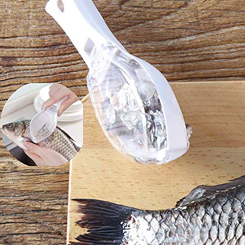 WRYER Fish Scale Scraper Fish Scaler Sawtooth Scale Descaler Scraper Cleaner Fish Scales Brush Shaver Remover Scale Knife Peeler Skin Peeler Fish Tools Kitchen Gadget - Image 3