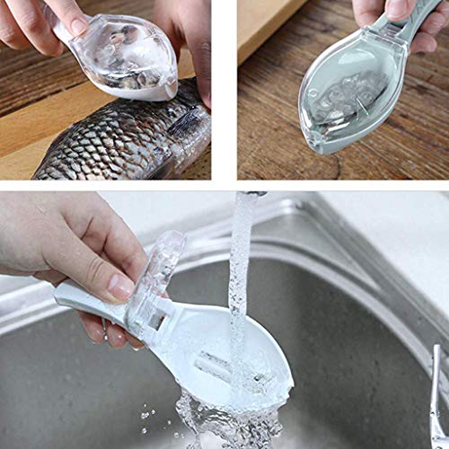WRYER Fish Scale Scraper Fish Scaler Sawtooth Scale Descaler Scraper Cleaner Fish Scales Brush Shaver Remover Scale Knife Peeler Skin Peeler Fish Tools Kitchen Gadget - Image 2