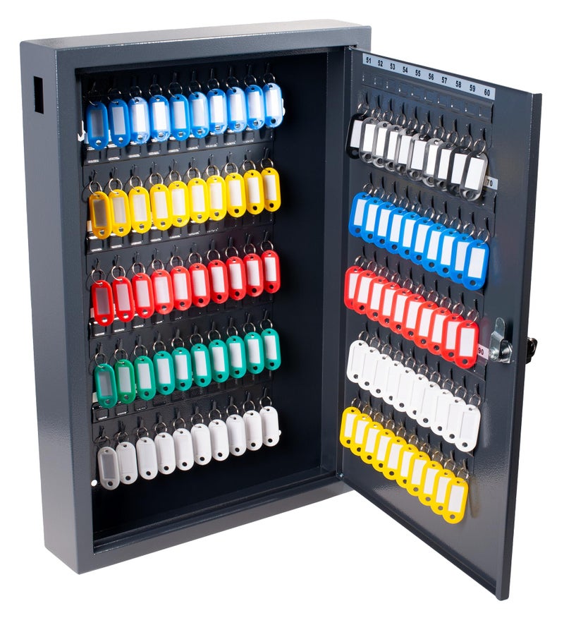 PAVO Deluxe Key Cabinet for 100 Keys Dark Grey 8 x 38 x 55 cm