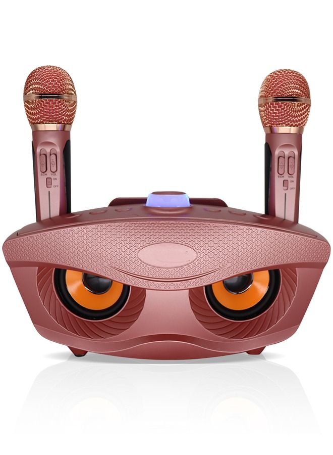 Padom  2 in 1 Family Karaoke Portable Wireless Live Dual Microphone And Bluetooth Speaker - Image 1