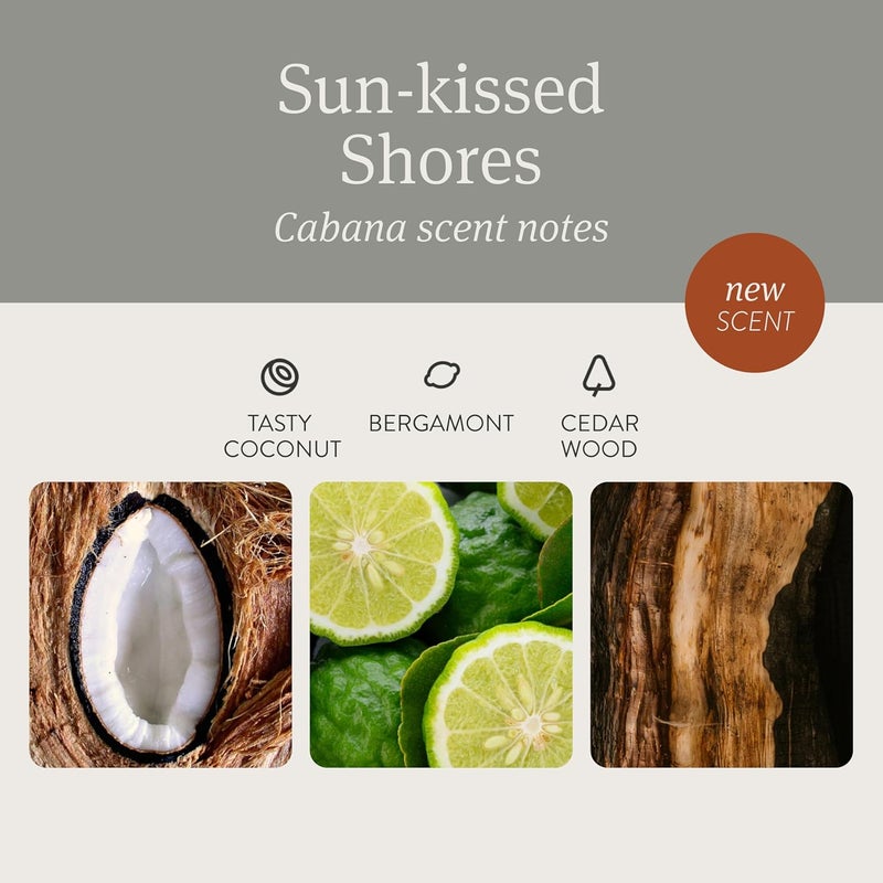 Drift Stone Air Freshener Starter Kit - Cabana Scent - Image 3