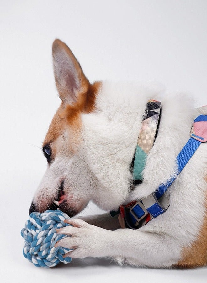 1PC Chew Rope Dog Toy, Cotton Chew Rope for Dogs, Suitable for all Ages and Breeds, Braided Dog Chewing Toy, Thick and Strong, Pet Toys & Accessories( Color Random) - Image 2