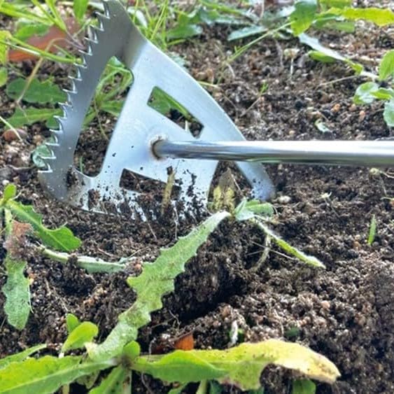 Sharpex 3-in-1 Gardening Tool with 8.5 cm Stainless Steel Blade & Wooden Handle | Heavy Duty Hoe for Loosening Soil, Planting, Digging | Works as Garden Tiller - Image 3