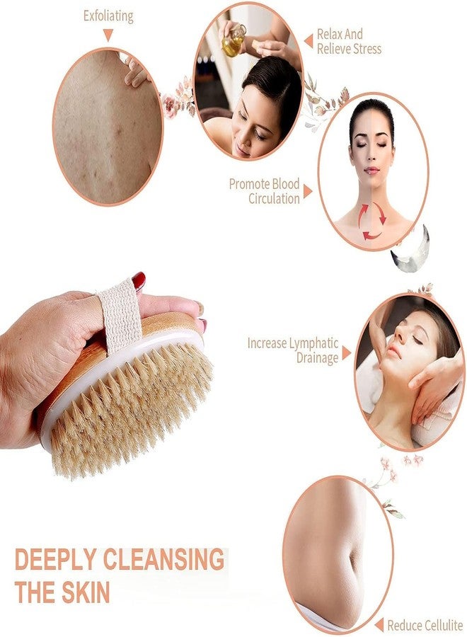 KRYLAR Natural Bristle Wooden Body Brush for Dry Brushing & Exfoliation Anti-Cellulite Massage with Hand Strap, Deep Cleansing, Dead Skin Removal & Blood Circulation Booster Bathing Scrubber - Image 5