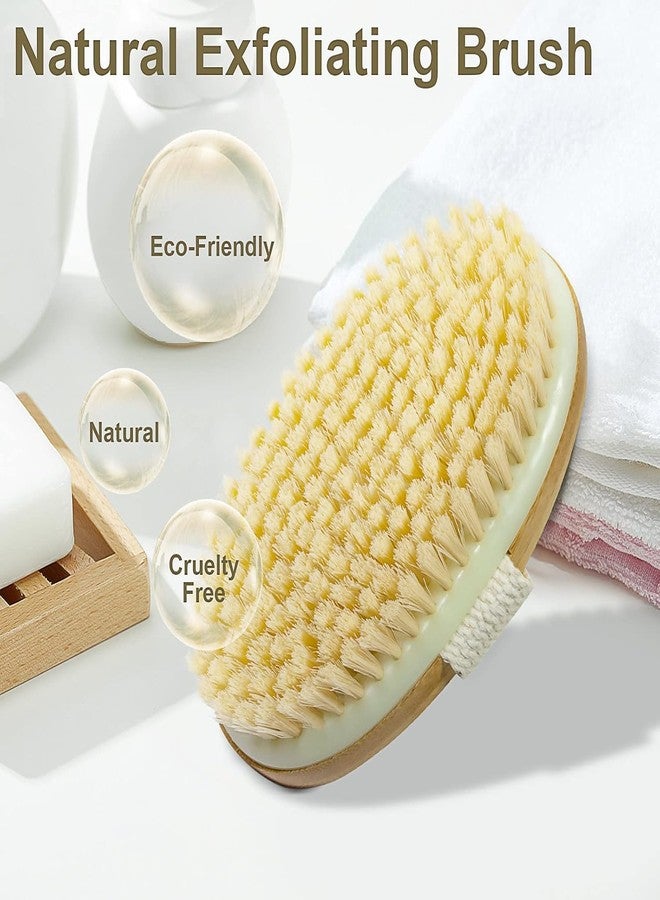 KRYLAR Natural Bristle Wooden Body Brush for Dry Brushing & Exfoliation Anti-Cellulite Massage with Hand Strap, Deep Cleansing, Dead Skin Removal & Blood Circulation Booster Bathing Scrubber - Image 2