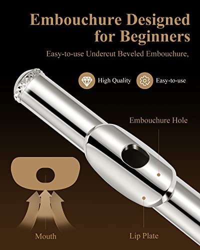 Eastar Open Hole 16 Keys Flute for Beginner Kids Student with Fingering Chart, Cleaning Kit, Stand, Case, Gloves, Tuning Rod, Silver, EFL-2 - Image 2
