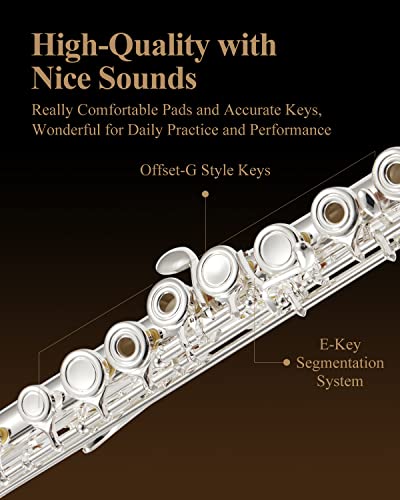 Eastar Open Hole 16 Keys Flute for Beginner Kids Student with Fingering Chart, Cleaning Kit, Stand, Case, Gloves, Tuning Rod, Silver, EFL-2 - Image 3
