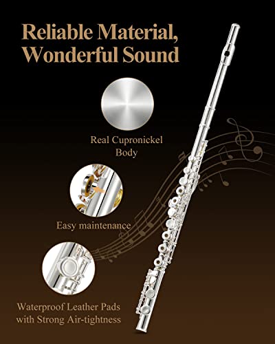 Eastar Open Hole 16 Keys Flute for Beginner Kids Student with Fingering Chart, Cleaning Kit, Stand, Case, Gloves, Tuning Rod, Silver, EFL-2 - Image 4