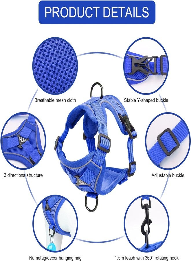 skmeditec Cat Harness and Leash Set, Upgraded Escape Proof Adjustable Kitten Vest with Lead for Small Cat Outdoor Walking, Soft Breathable Mesh Jacket with Reflective Strips for Dark Night (S, Klein Blue) - Image 3