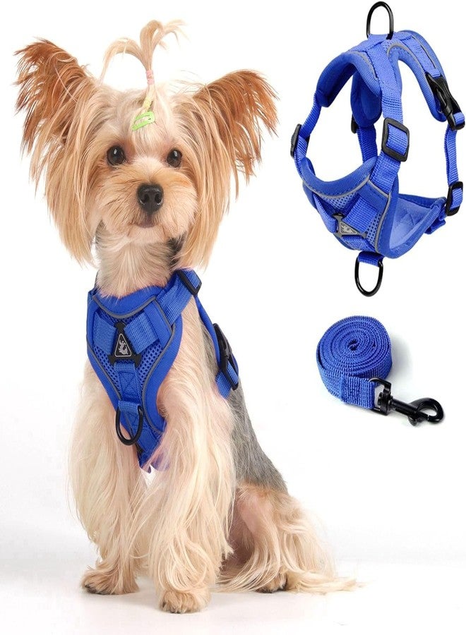 skmeditec Cat Harness and Leash Set, Upgraded Escape Proof Adjustable Kitten Vest with Lead for Small Cat Outdoor Walking, Soft Breathable Mesh Jacket with Reflective Strips for Dark Night (S, Klein Blue) - Image 5