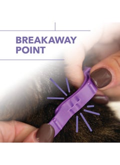 Hartz Ultraguard Promax Flea & Tick Collar For Cats I 14 Months Protection I Soft & Comfortable | Flea & Tick Prevention I 2 Pack  - Image 4