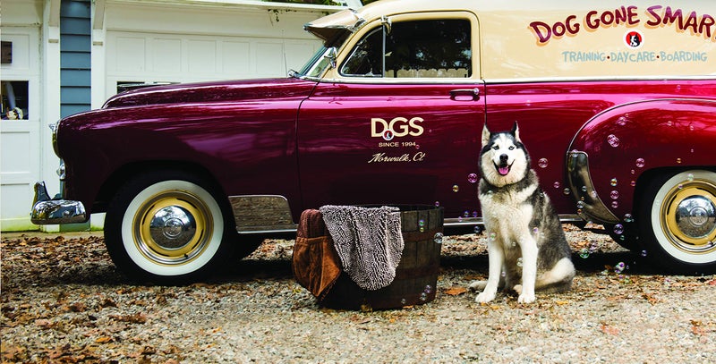 Dog Gone Smart The Dirty Dog Shammy - Fast Drying Plush Shammy Towel with Dual Hand Pockets and Elastic - Super Absorbent Microfiber and Machine Washable - Grey - Image 2
