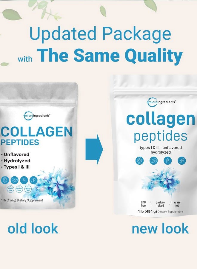 Micro Ingredients مسحوق ببتيدات الكولاجين البقري، 1 رطل | النوع الأول والثالث + بروتين طبيعي | مصدر بقري من المراعي | بدون نكهة | يدعم صحة الجلد والمفاصل والعظام | باليو، غير معدّل وراثيًا - Image 3