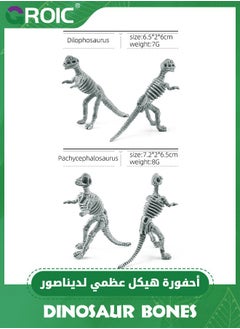 GROIC 12 Pack Dinosaur Fossil Skeletons,Dinosaur Skeleton Toy Figures Dino Bones Educational Toy,Dino Bones for Science Play Rewards,Party Favors  - Image 5