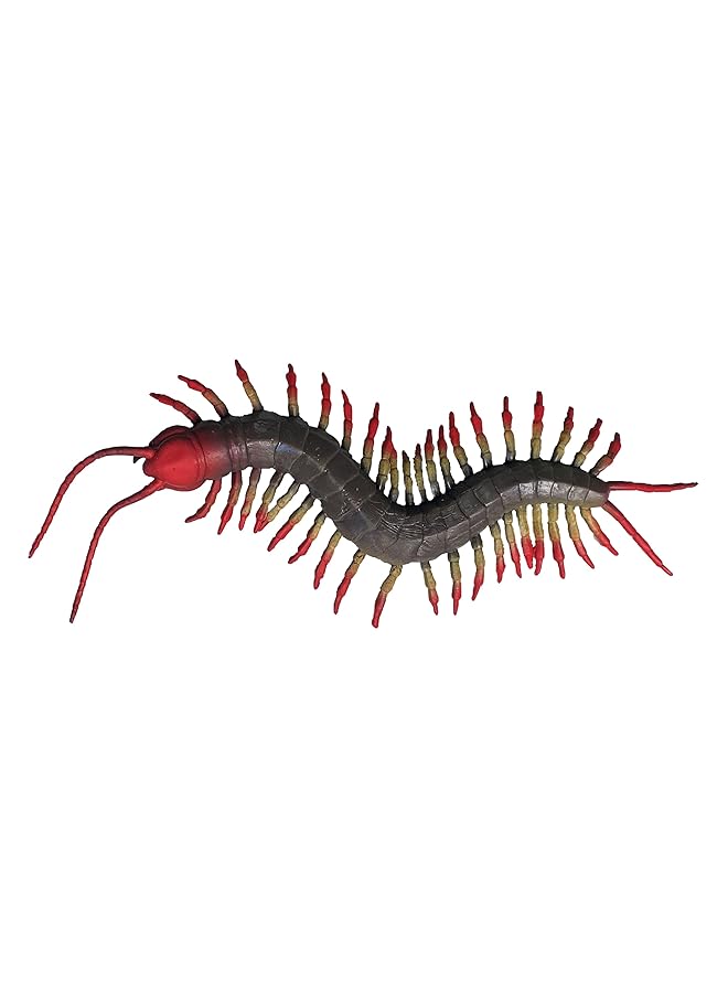 macmerise Galaxy Elongated Body Centipede Toy For Kids Multicolor - Image 2