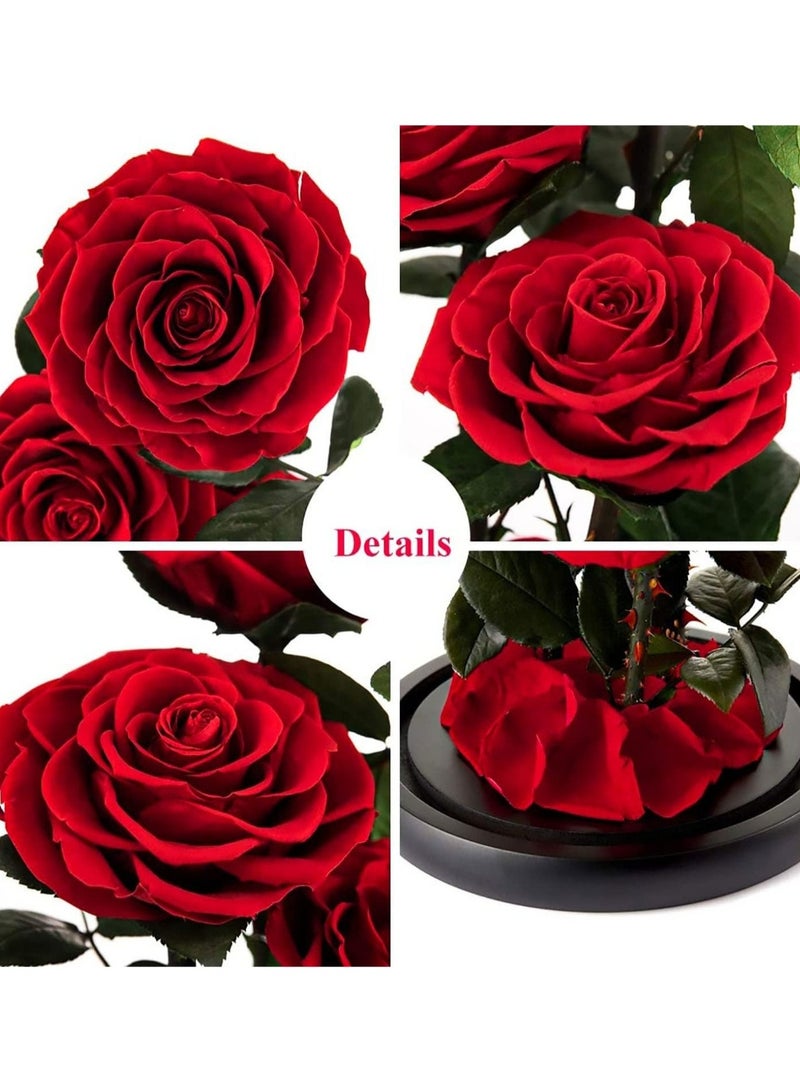 اليدوية المحفوظة روز إلى الأبد أبدا ذابلة الزهور ، هدية لحفل زفاف ، عيد ميلاد ، هدية عيد الأم ، أفضل هدية لها روز (وردة واحدة ، أحمر) - Image 2