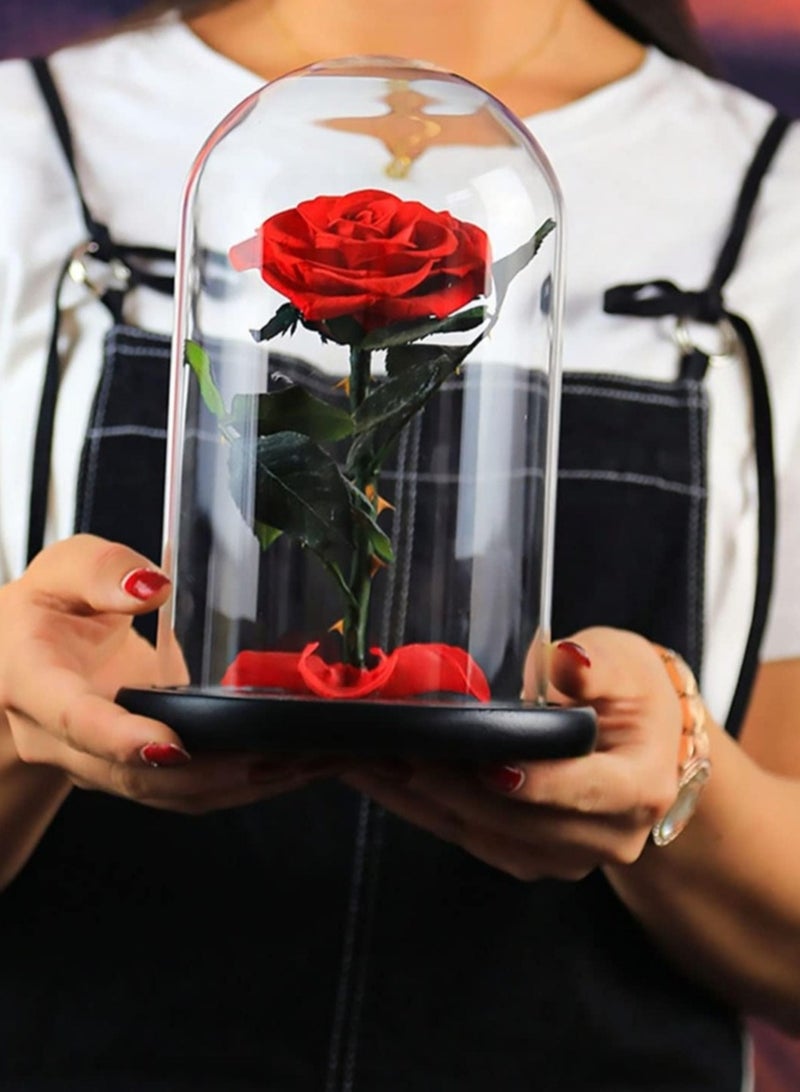 اليدوية المحفوظة روز إلى الأبد أبدا ذابلة الزهور ، هدية لحفل زفاف ، عيد ميلاد ، هدية عيد الأم ، أفضل هدية لها روز (وردة واحدة ، أحمر) - Image 5