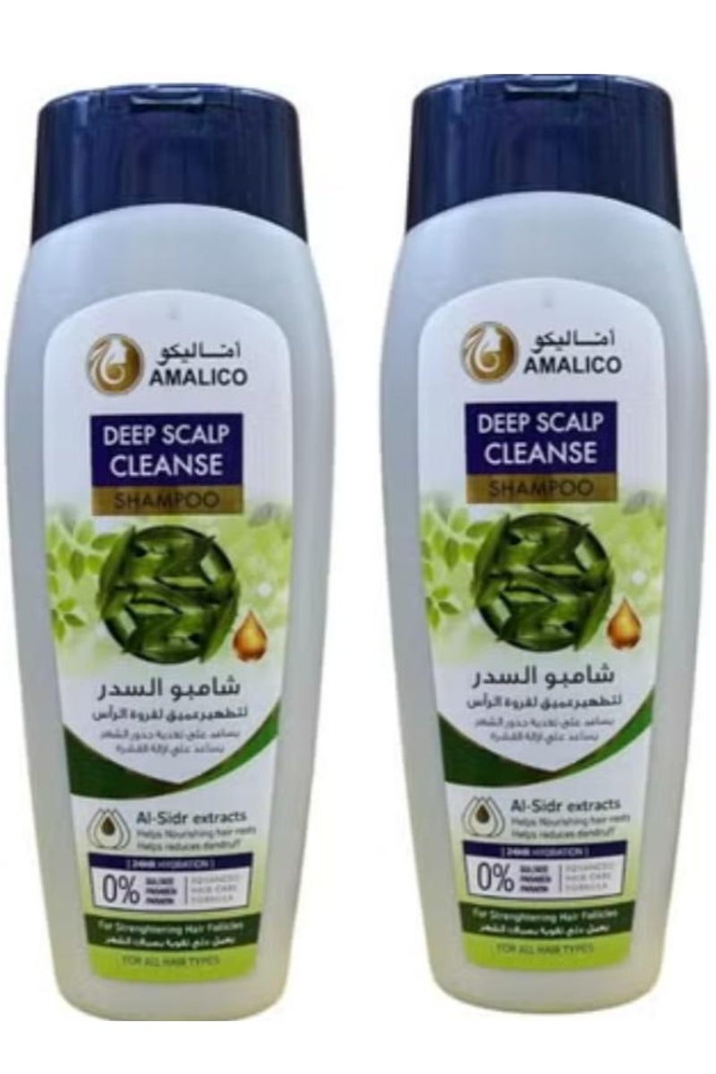 AMALICO Deep Scalp Cleanse Shampoo AL-Sidr Exracts 425 ml