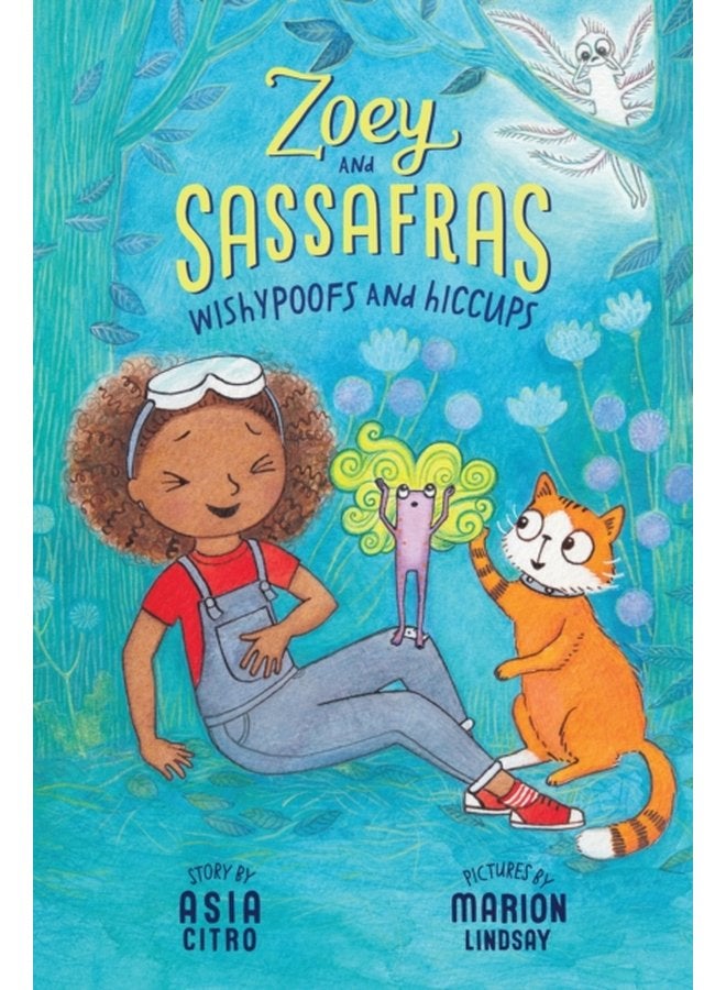 WISHYPOOFS HICCUPS - Paperback