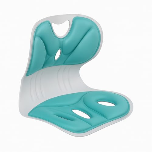 SHREESAMP Ergonomic Posture Correcting Chair Cushion - Waist & Back Support for Desk, Office, Home, & Student Use | Orthopedic Seat & Posture Support | Ideal for Medical, Mobility, & Disability Needs - Image 1