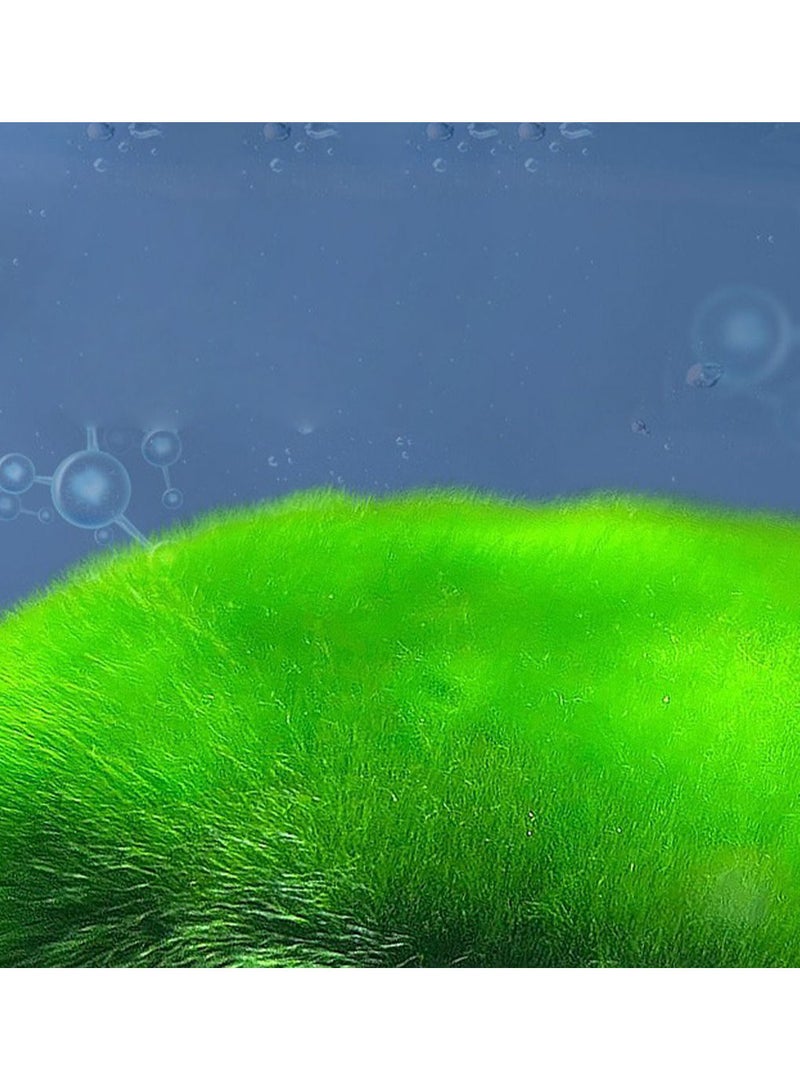 Yee Aquarium Green Powder - Image 4