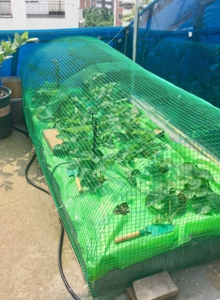 ROBUSTLINE Robustline Wire Mesh Fencing, Galvanized Pvc Coated Garden Fencing, Green Steel Nets For Farming Fence, Plant Chicken Wire Fence - Image 3