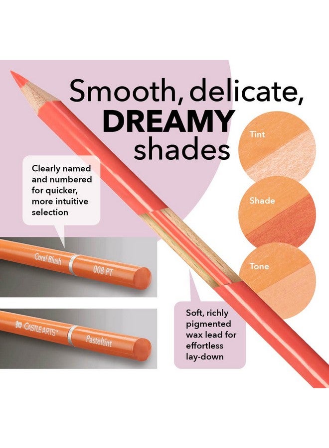 Castle Art Supplies 48 Pasteltint Colored Pencils Set With Extras Quality Colors In Softer Sumptuous Tones For Professional And Adult Artists In Neat Strong Zipper Travel Case - Image 3