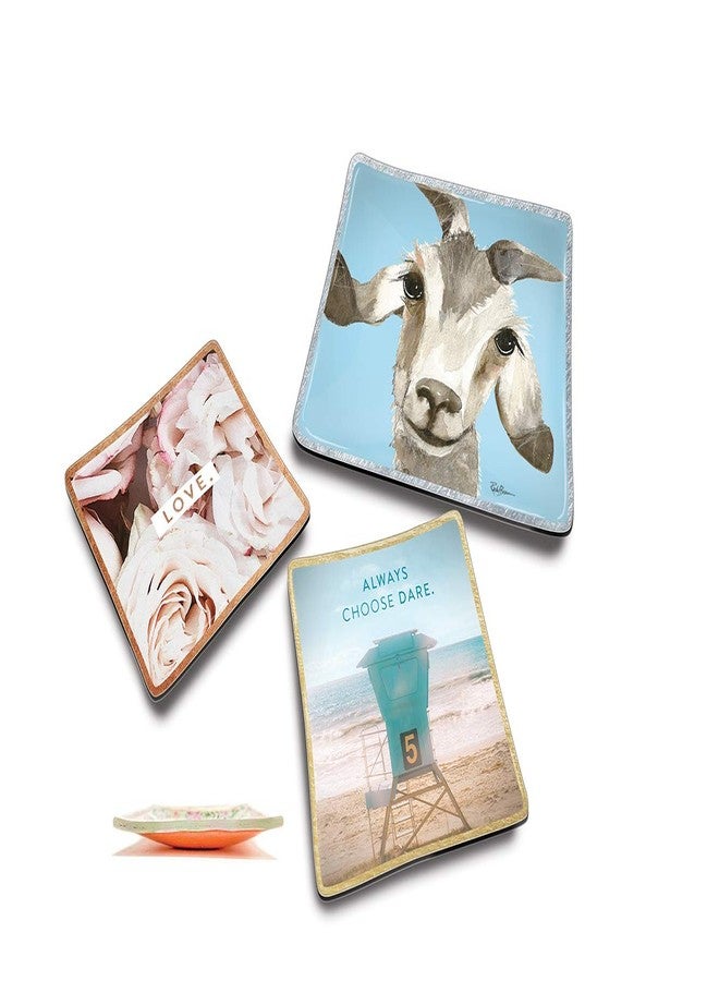 Studio Oh! Medium Glass Trinket Dish by Studio Oh! - Gilbert - 5" x 5" - Dish Tray with Unique Full-Color Artwork - Holds Jewelry, Change, Paperclips & Trinkets - Image 3
