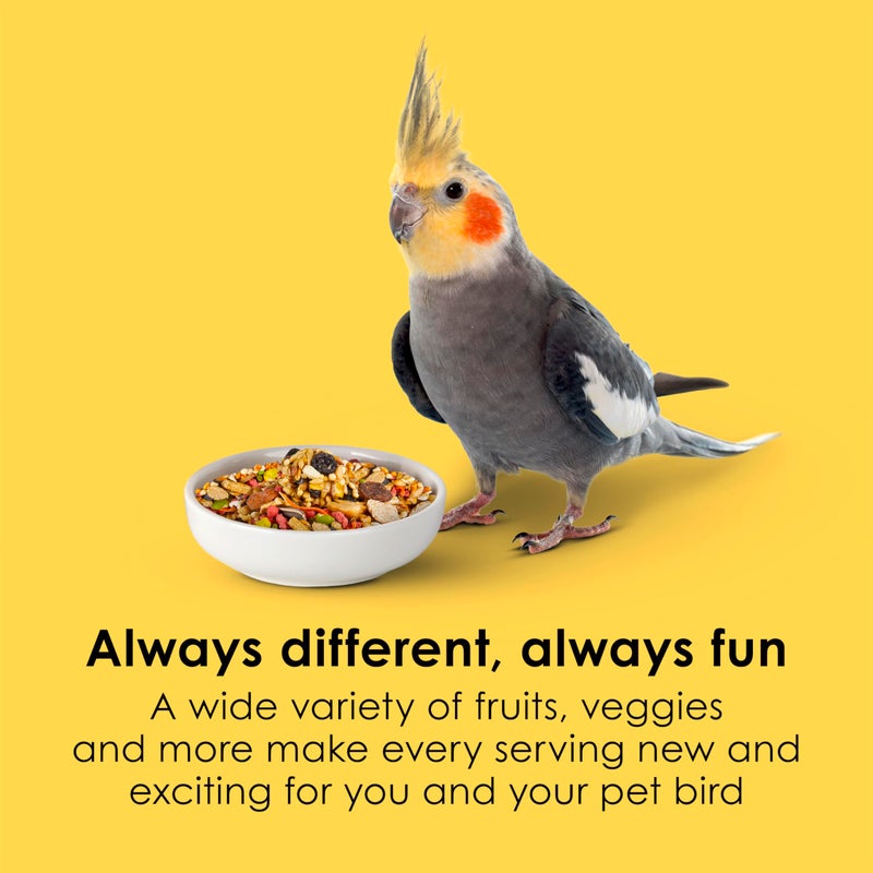 Kaytee Fiesta Cockatiel Food, Nutritious and Fun Blend, Supports Skin, Feather, Digestion, Brain and Heart Health, 2.5 pounds - Image 3