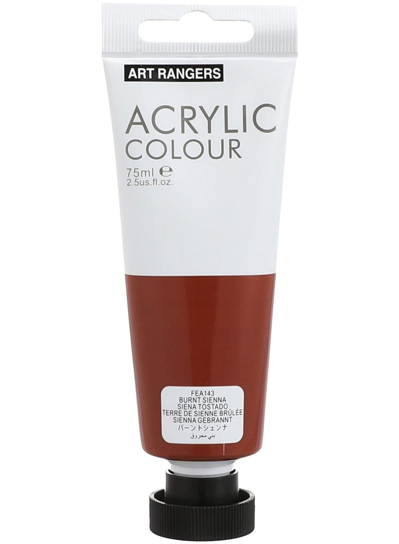 ART RANGERS Acrylic Colour – Burnt Brown 75ml | High-Quality Metallic Paint for Art & Craft - FEA143 - Image 1
