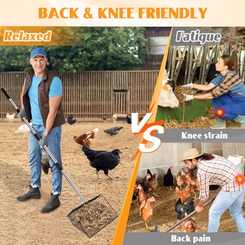 CAROD 15"-Large Thickened Chicken Poop Scooper, 24 to 68" Adjustable Chicken Coop Scoop for Poop with Stainless Steel Handle, Litter Scooper Sifting Shovel Chicken Coop Accessories - Image 2