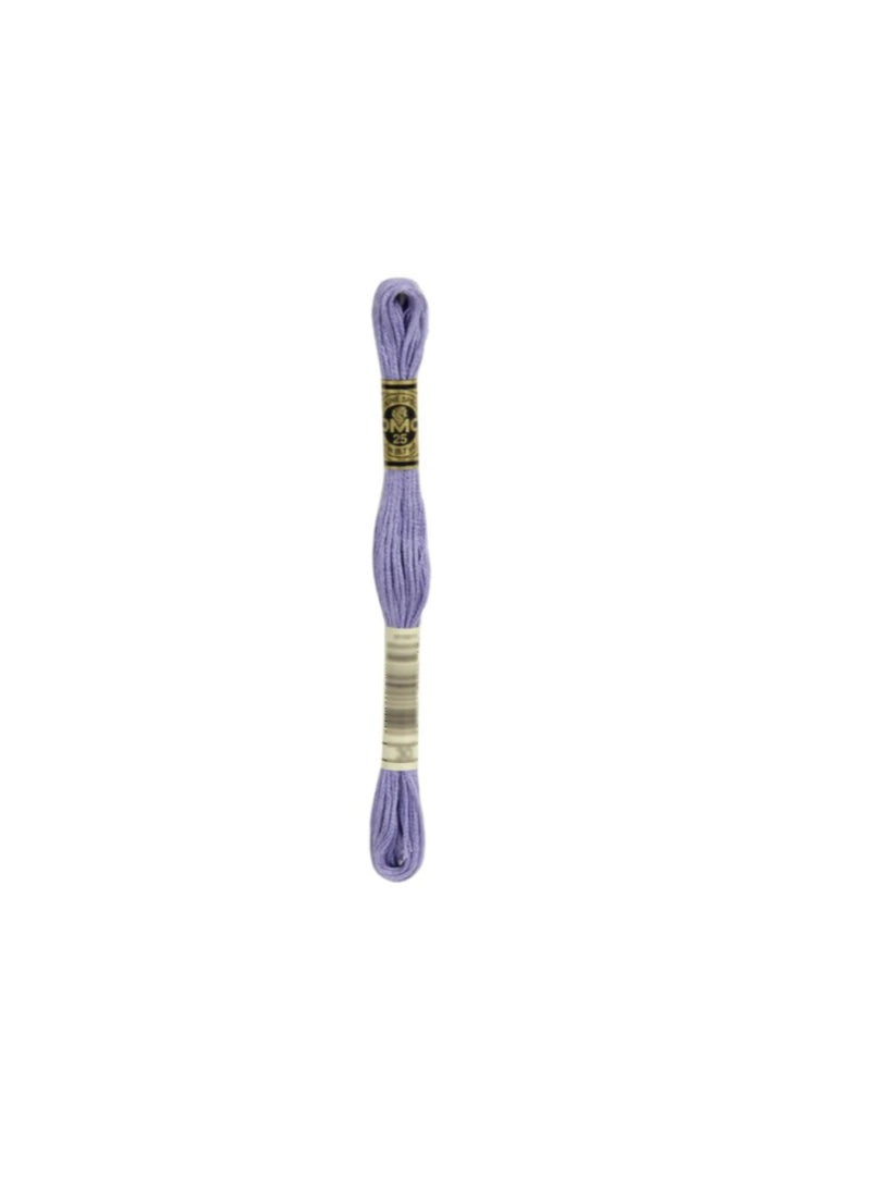 DMC - DMC 6-Strand Embroidery Cotton 8.7yd Medium Light Blueberry - Image 1