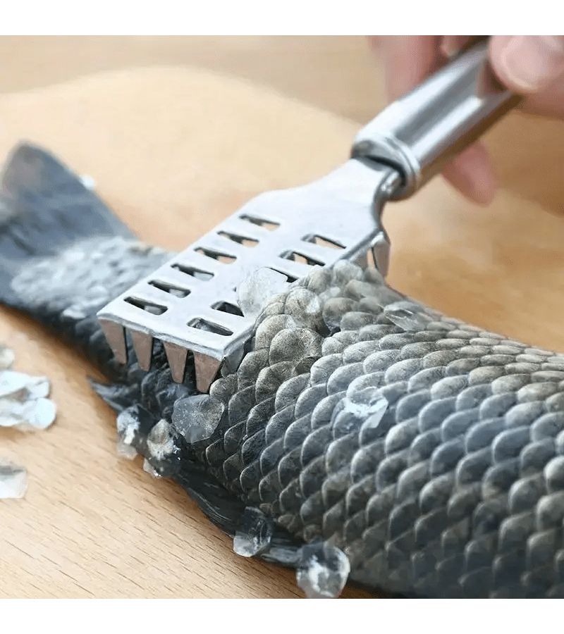 Nordic Silvery Stainless Steel Fish Scale Scraper With Sawtooth Edge Kitchen Cleaning Tool - Image 5