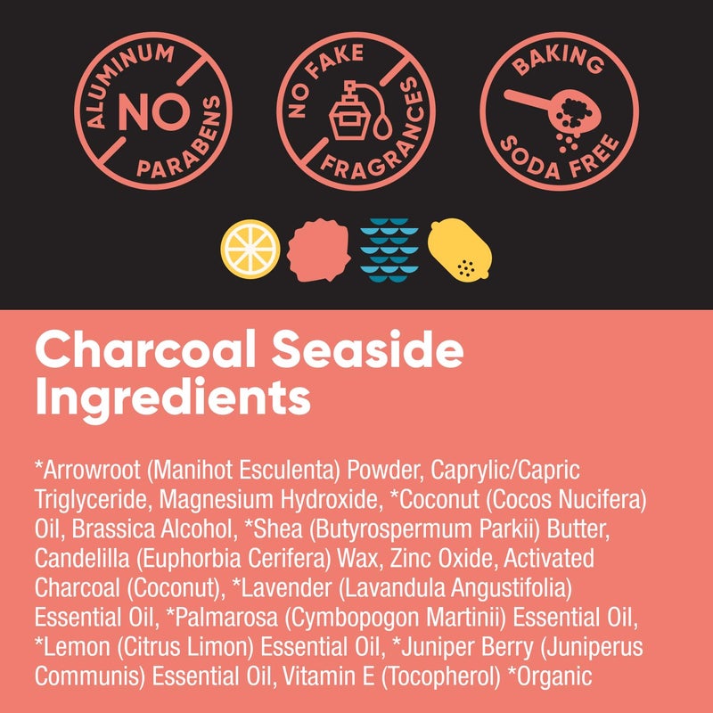 Pretty Frank Natural Aluminum-Free Deodorant Stick with Charcoal, Baking Soda-Free, Charcoal Seaside (1-Pack) | Sensitive Skin Friendly, Effective Odor Control for Women & Men, Organic Ingredients - Image 4