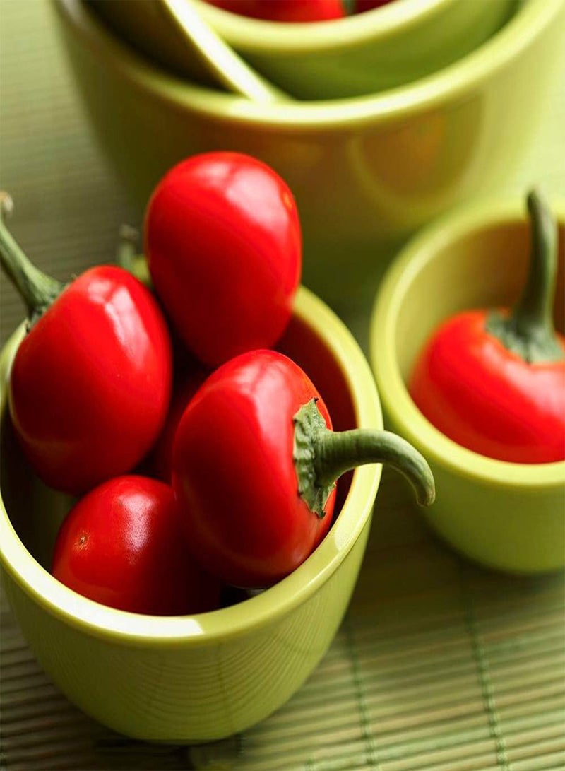 GGOOT 200pcs Pepper Seeds Green Vegetables Continuous Sowing Throughout The Year Can Be Harvested Continuously Garden DIY Decoration is Loved and Respected by Gardeners - Image 1