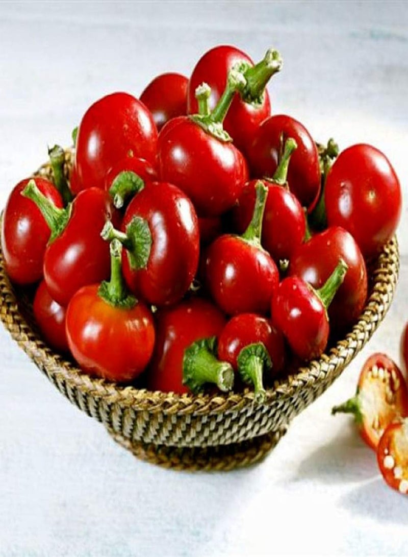 GGOOT 200pcs Pepper Seeds Green Vegetables Continuous Sowing Throughout The Year Can Be Harvested Continuously Garden DIY Decoration is Loved and Respected by Gardeners - Image 2